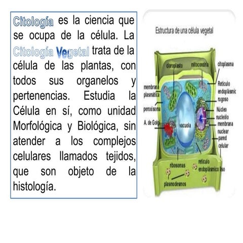 2. citologia vegetal, botanica agricolas