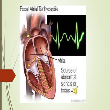 The rectum – anatomy, clinical features of human | PDF