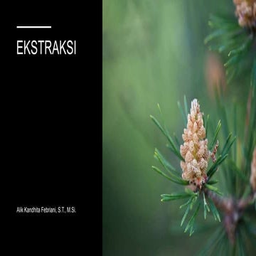 Presentasi perkolasi | PPT