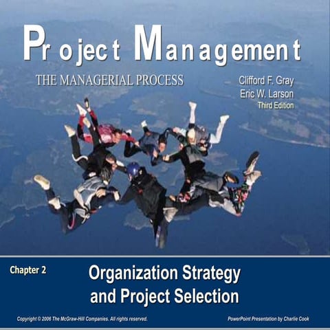 Organization strategy and project selection