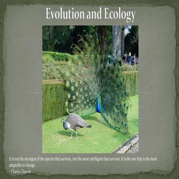 Evolution and Ecology: Involving in its sorroundings