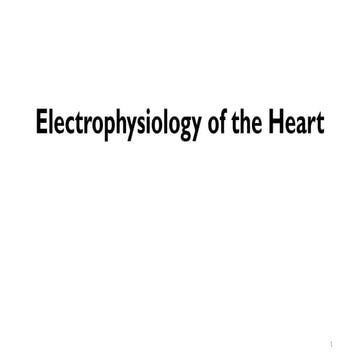2. Electrophysiology of the heart teacher.pptx