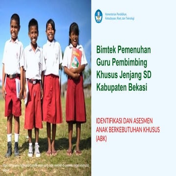 2 Identifikasi Dan Asesmen Abk Jenjang Sekolah Dasar Nita Pdf