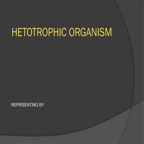 2.pptx food chain with ecology presentation