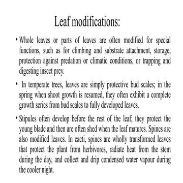 leaf adaptations: Environmental interactions and horticultural ...