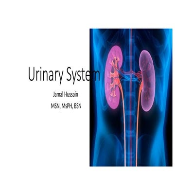 2. Urinary System (1).pptx by sir waqar ahmed