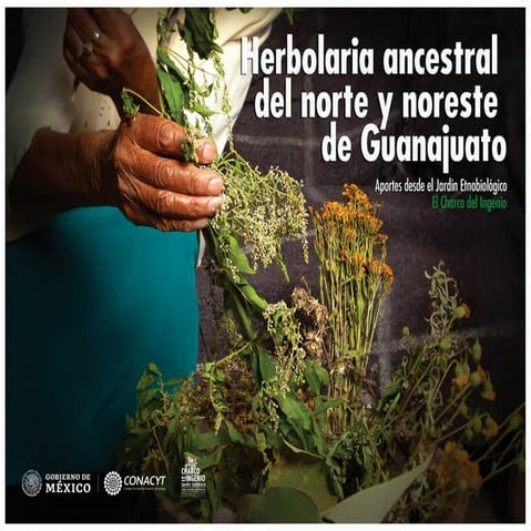 Herbolaria ancestral del norte y noreste de Guanajuato