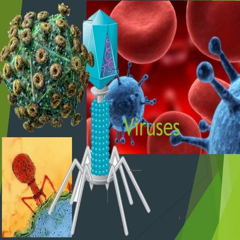 Viruses, bacteria, protists and fungi | PPTX
