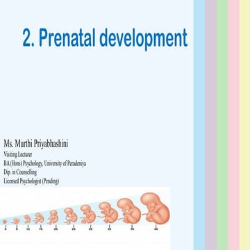 2. Pre-natal development in psychology ...