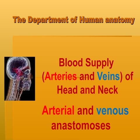 2.3 Blood supply of head & Neck & MUA.ppt