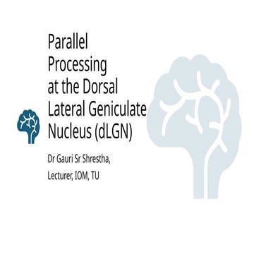 2. dorsolateral Geniculate Nucleus (dLGN)_Parallel Processing.pptx