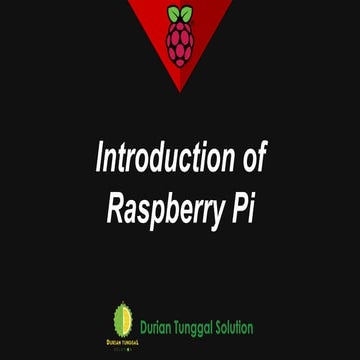 IntroDUCTION Of RASPBERRY PI AND REVOLUTION | PDF
