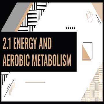 2.1 IB Energy and Aerobic Metabolism.pdf