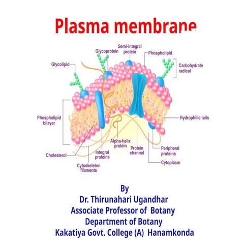 Plasma Membrane.pptx  Dr Thirunahari Ugandhar