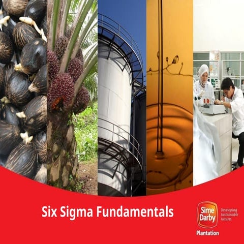 2. Six Sigma Fundamentals...............