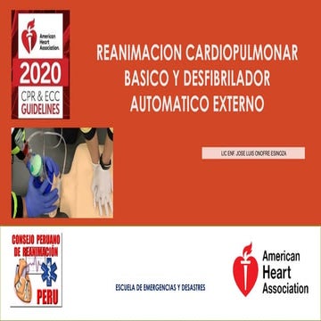 Rcp adulto con dibujos | PPTX