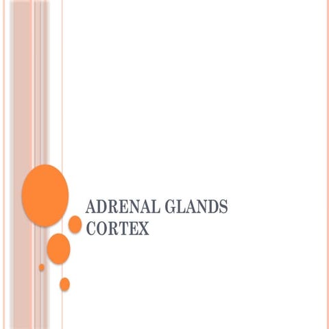 2. adrenal gland ENDOCRINOLOGY PPTX.pptx