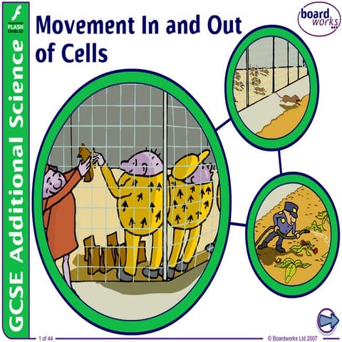 2. Movement In and Out of Cells v1.0.ppt
