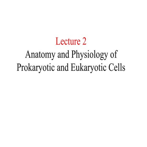 2. Anatomy and Physiology of Prokaryotic Cells.ppt