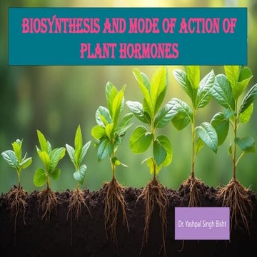 Biosynthesis of phyto-hormones and its role.pptx