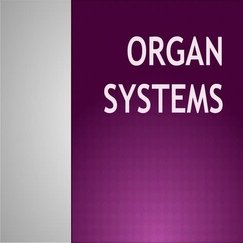 Organ Systems WITH DIFFERENT PARTSOFBODY