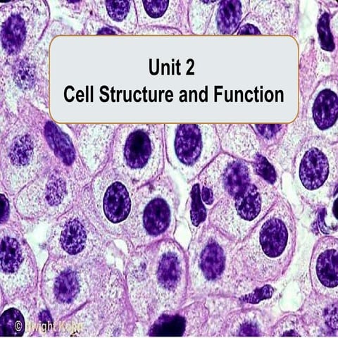 2.1-2.2-2.10-2.11-Cell-Structure-and-Function-Compartmentalization-1.pptx