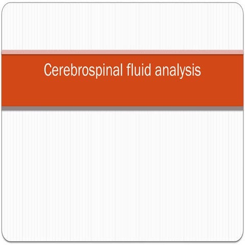 2.8 CSF ZY 2024.pptx000000000000000000000000000