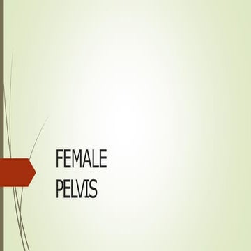 2. FEMALE PELVIS..................1.pptx