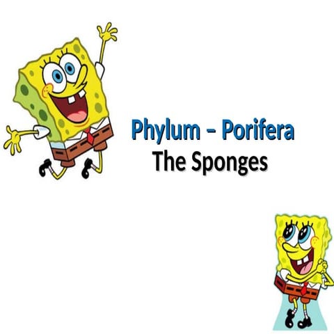 2. Sponges_kuliah. Pendidikan Biologi Semester 3