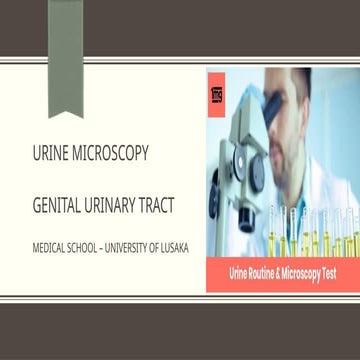 An in depth of a Urine microscopy and analysis.pptx