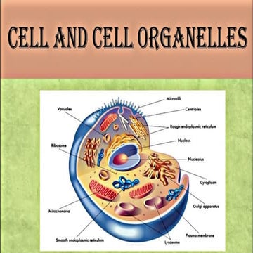 2.01. CELL AND CELL ORGANELLES.pptx FOR CLASSES 8TH AND 9TH
