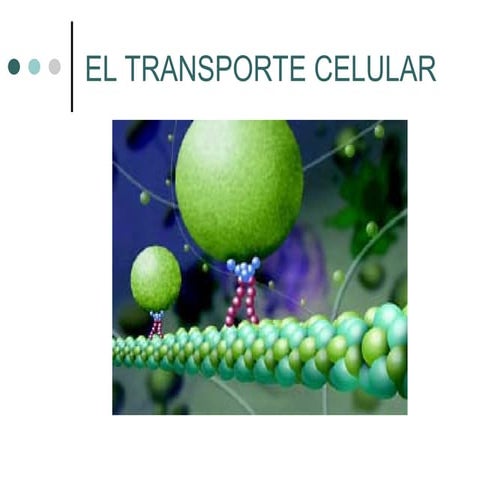 2.3.Transporte celular #C59.ppt pso por el transporte