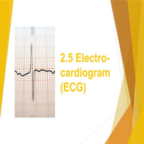 12 lead electrocardiogram | PPTX