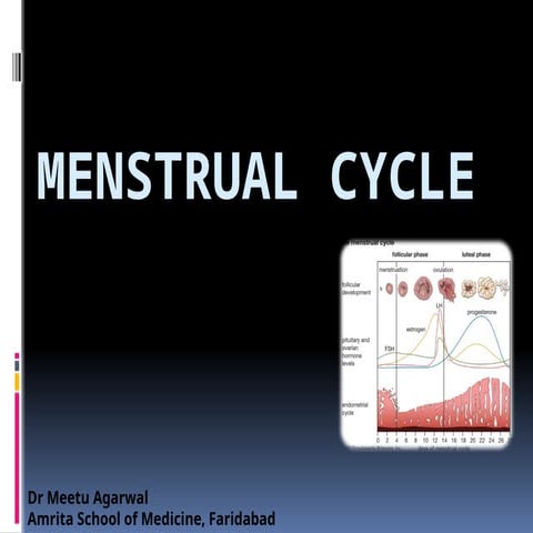 Comprehensive Overview of the Menstrual and Ovarian Cycles with ...