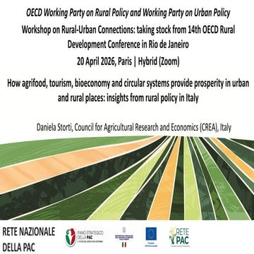 The case of Brazil: Institutional Arrangement for the SDGs and Action ...