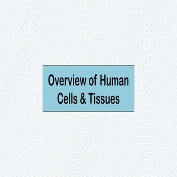 Comprehensive Overview of Human Cells, Tissues, and Systems | PPTX