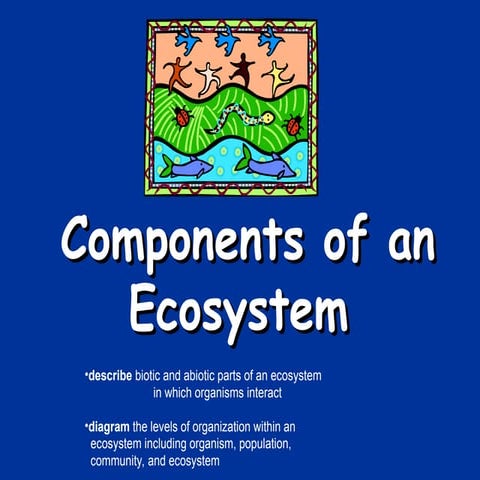 Understanding Ecosystem Components and Levels of Organization in Nature ...