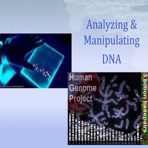 2.2 analyzing and manipulating dna
