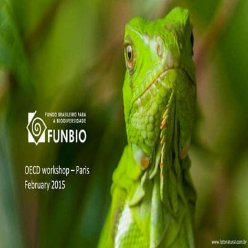 Rosa Lemos de Sá, CEO, Funbio, Brazil - National fund mechanisms for sustaina...