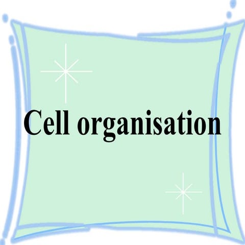 Cell Organisation