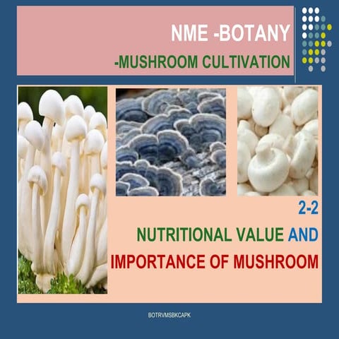 2 2 nutritional value and importance of mushroom