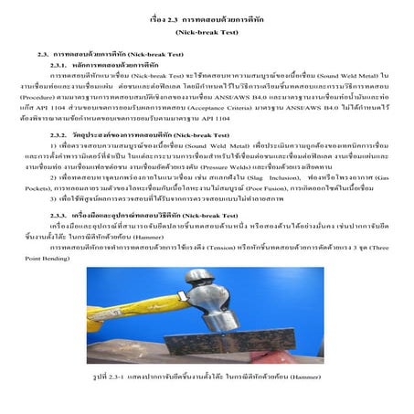 2 3 | PDF