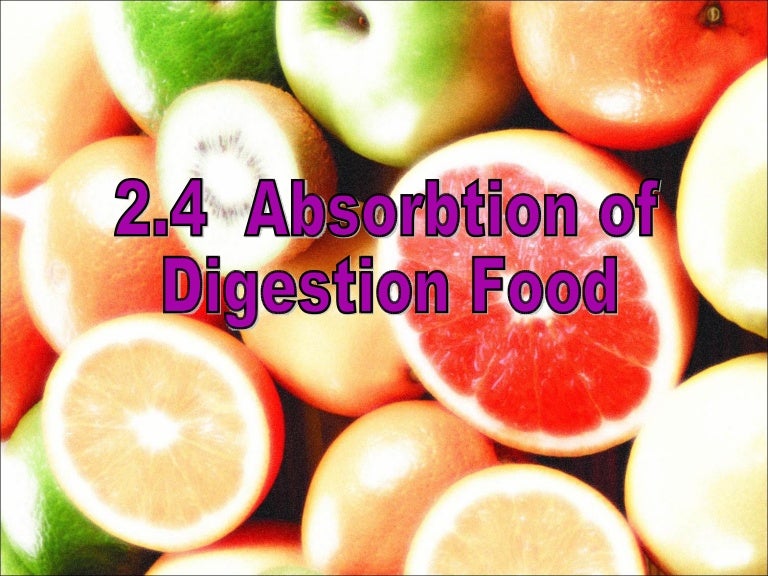 2.4 Absorption of Digested Food