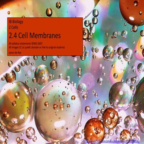 IB Biology Core 2.4: Cell Membranes