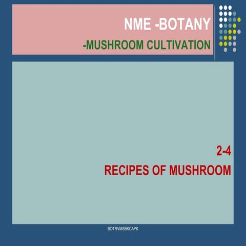 2 4 recipes of mushroom