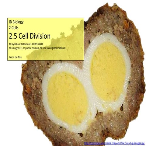 IB Biology Core 2.5: Cell Division
