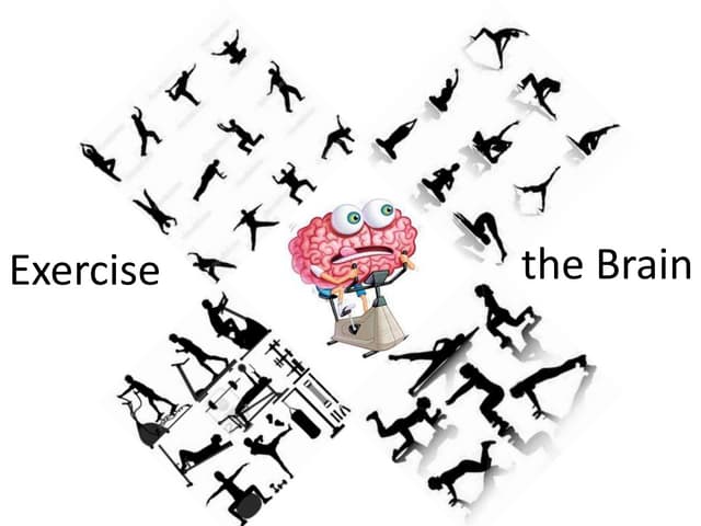 2.6 2013 clrm brain studies