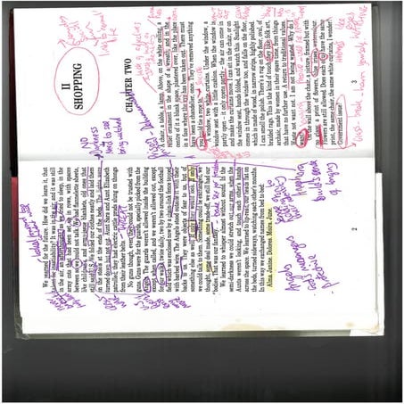 The Handmaid's Tale part 2 (pg2- 64)