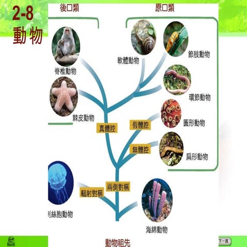 2 8動物 2
