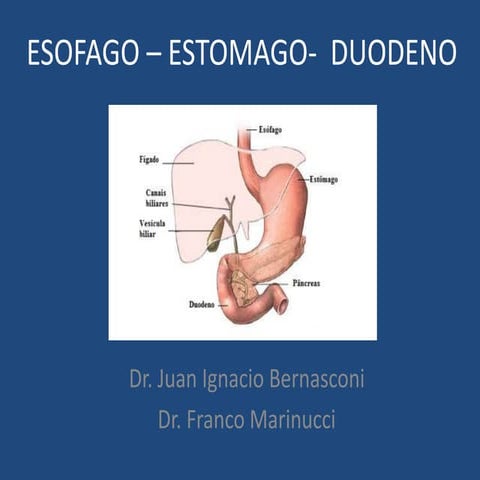 2 9 dx segd juani part 01